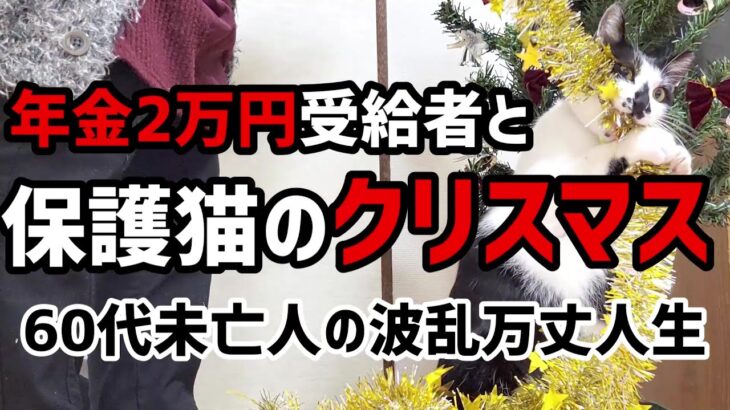 【60代一人暮らし】年金2万円受給者と保護猫りんのクリスマス【シニアVlog】