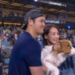 大谷の愛犬の名前ど忘れした