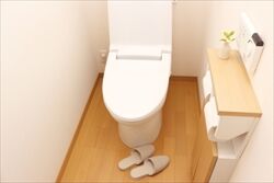 【衝撃】トイレットペーパーで便座を拭いてはいけない理由