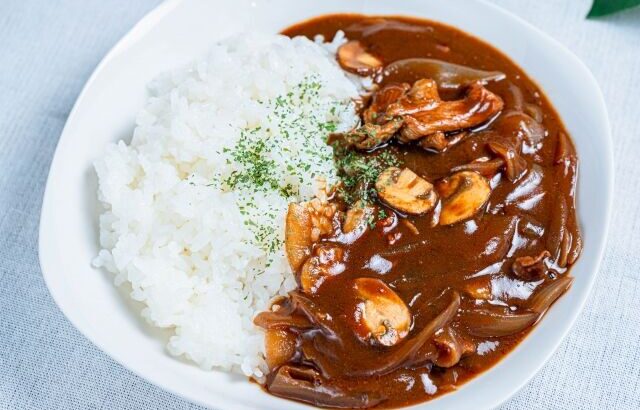 「ハヤシライス」とかいう、カレーから大事な物を抜いた食べ物