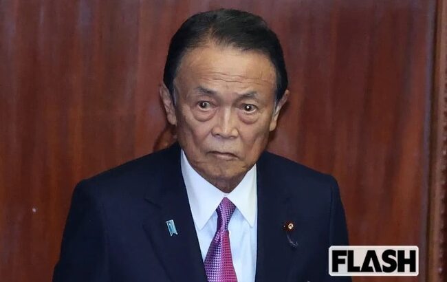 麻生氏の「楽して儲かる仕事なんでない」発言、反感を買ってしまう😭