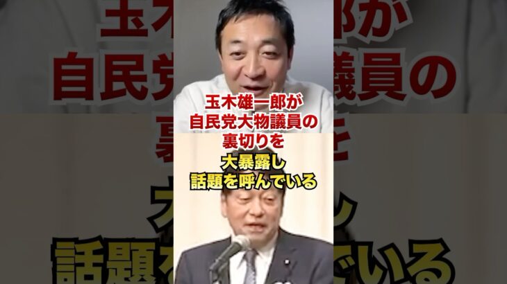 【衝撃】玉木雄一郎「おかしいのは自民党ですよね?」