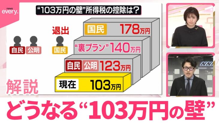 【必見】自民党の森山幹事長が語る年収の壁の現実とは？