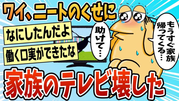 【仰天】やばいニートのくせに家族のテレビ壊しちゃった