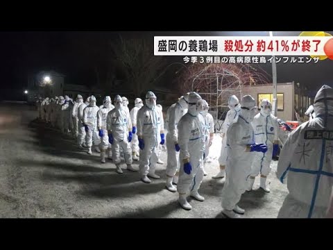 【必見】鳥インフル発生！農水省が警鐘を鳴らす異常事態とは？