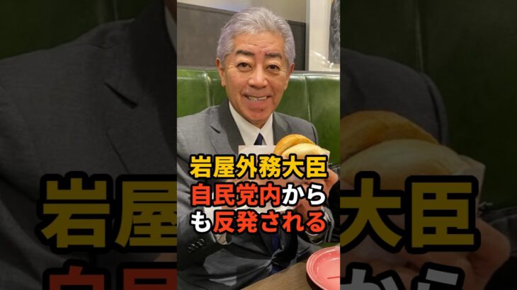 【衝撃】岩屋外務大臣自民党内からも反発される    