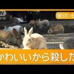 【注目】ウサギを蹴った男を取り押さえたウサギ写真家の壮絶な一瞬が明らかに⁉