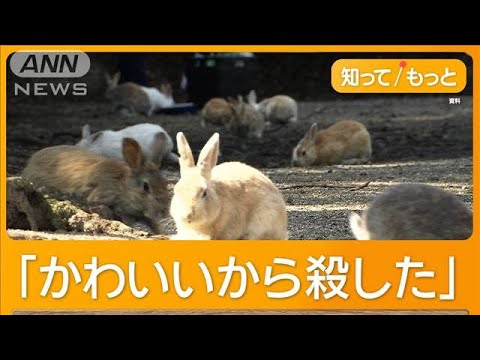 【注目】ウサギを蹴った男を取り押さえたウサギ写真家の壮絶な一瞬が明らかに⁉