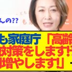 【マジかよ】こども家庭庁「高齢者の孤独対策のために、予算1兆円増やします!」→は????