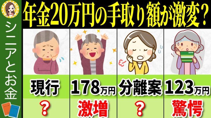 【2025年1月最新版】年金20万円の場合、年収の壁が103万円から変わると手取り額はこんなに増えるの？計算方法を徹底解説！