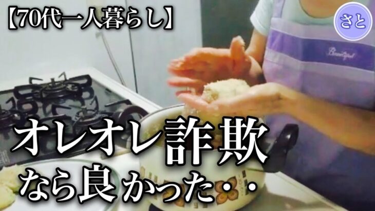 【70代一人暮らし】私の老後資金が消えた理由【シニアライフ】