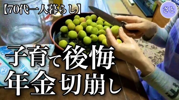 【70代一人暮らし】老後資金が消えたいきさつ【シニアライフ】