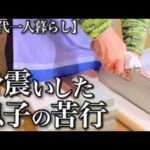 【70代一人暮らし】年金めあての息子に天罰が下りました【シニアライフ】