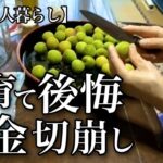 【70代一人暮らし】老後資金が消えたいきさつ【シニアライフ】