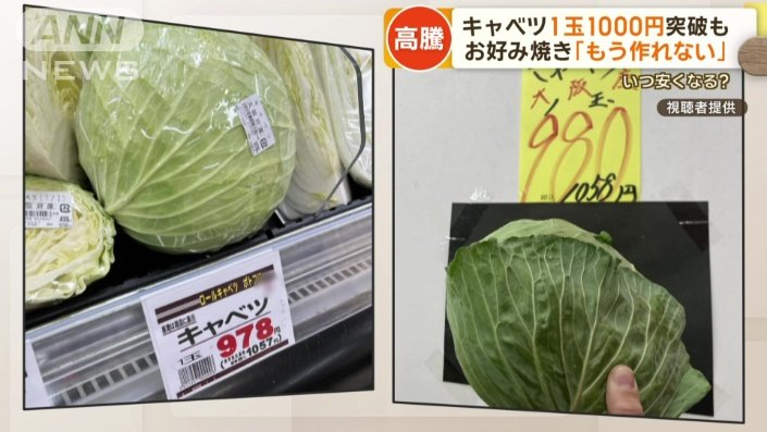 【キャベツ高騰化】トンカツとキャベツの価値が逆転！！！！！(´Д⊂ヽ