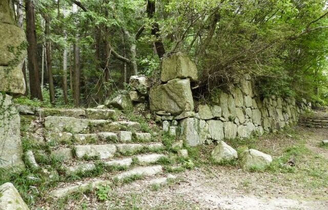 【悲報】六角家、島津家、大友家、山名家←コイツらが大河ドラマの題材にならない理由