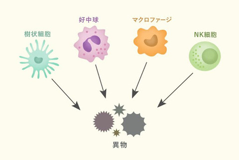 淫夢語録だけで集団免疫を獲得できることが判明