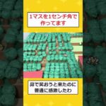 【動画】ポケモンのMAPを画用紙で再現してみた結果wwww