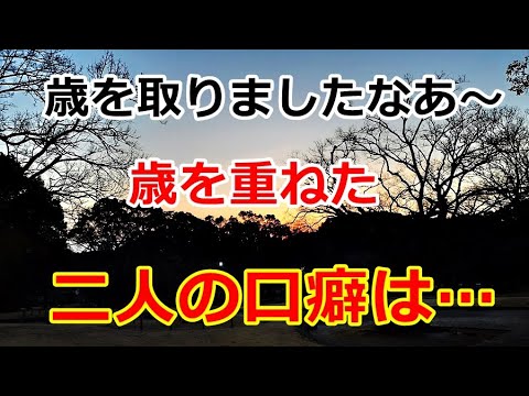 【シニアライフ】のらりくらり年金生活　大雑把な鍋料理！歳を重ねた二人の口癖は…【のらりくらり年金生活チャンネル】