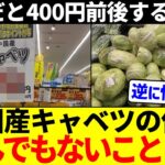 【マジかよ】中国産キャベツの値段、とんでもないことになるwww