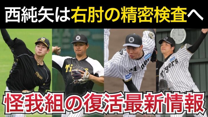 【阪神】西投手、右肘手術を報告