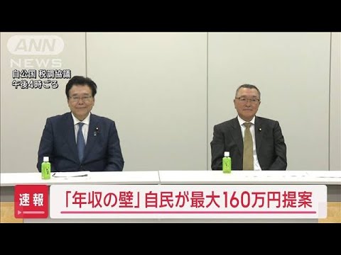 【必見】「年収の壁」自民が最大160万円提案‼