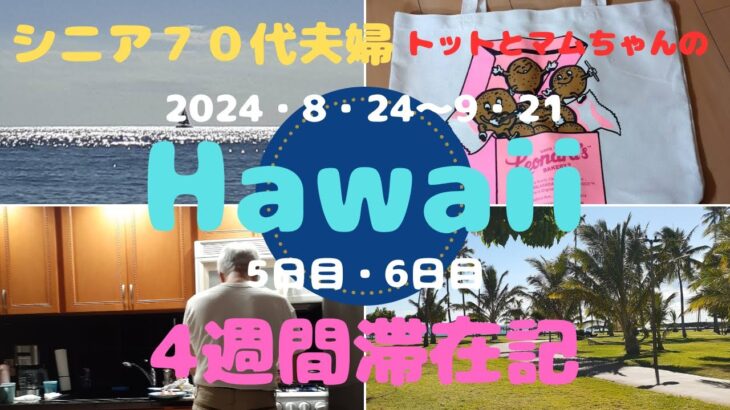 シニア７０代夫婦ハワイ4週間滞在記（5日目・6日目）