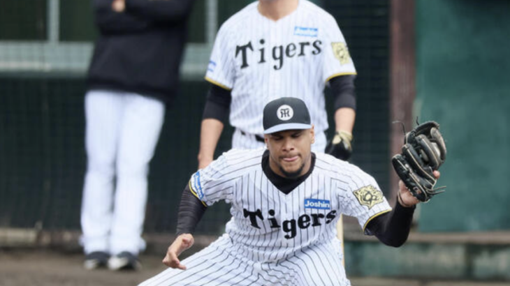 【朗報】バースの再来ｷﾀ━━(ﾟ∀ﾟ)━━!!嬉しい誤算!!ヘルナンデスは佐藤輝明と勝負できる逸材!!