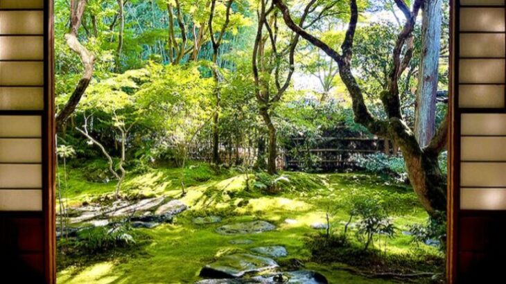 「中国の一部になるのに消されるよ」マナー違反を注意した京都・高台寺岡林院が脅される