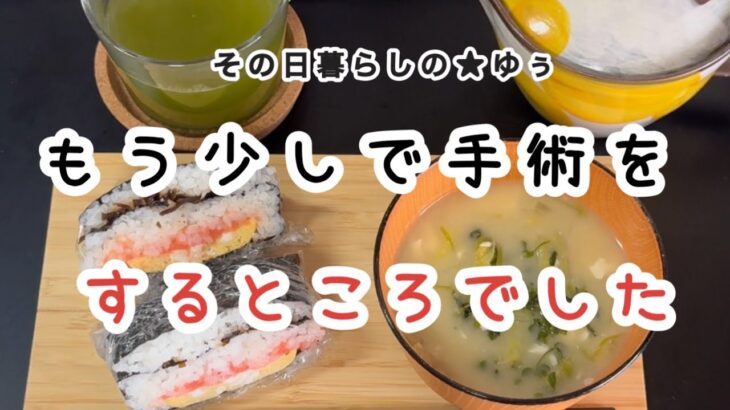 【貯金0円で熟年離婚】62歳年金暮らし/おにぎらず