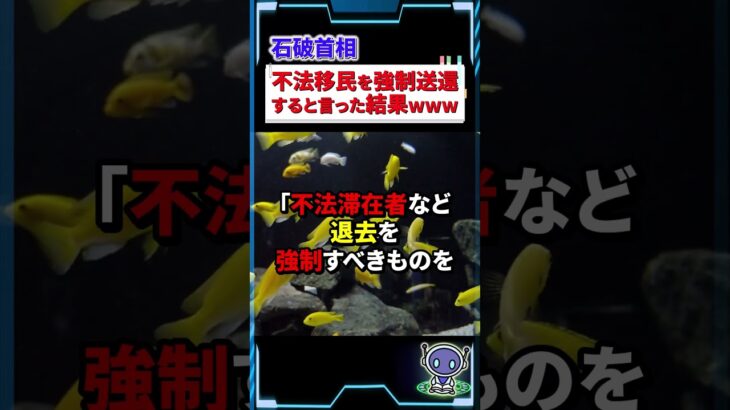 【衝撃】石破首相が不法移民を強制送還すると言った結果www