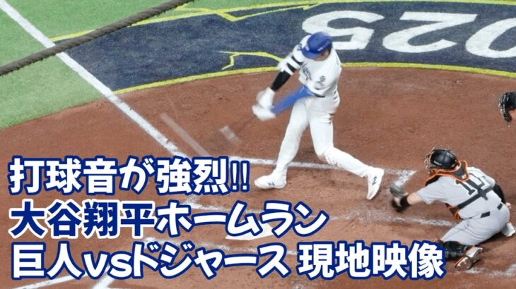 【動画】大谷翔平の本塁打、ファンに直撃！東京ドームの驚きの瞬間❓❗（まとめだかニュース速報）