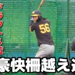 【阪神】2年目の百崎「キャンプで成長した打撃をアピールできた」