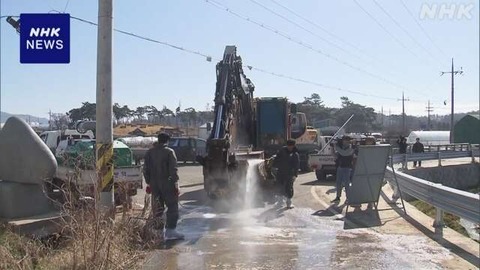 韓国で「口てい疫」確認 おととし以来　日本の農水省も注意呼びかけ