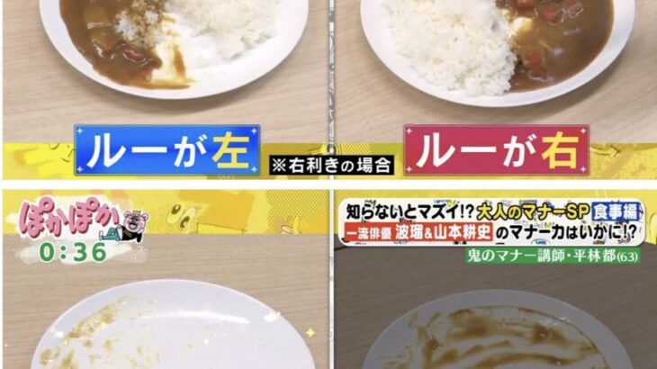 【画像】マナー講師「「カレーの皿の向きはライスが右、カレーが左なのがマナーです」」