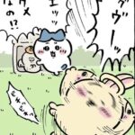 【ちいかわ】過去一うさぎが苦しんでてダメだった