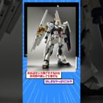 【衝撃】ガンダムで「なんやこのMS…きっしょ!」ってなったMSと言えばwww