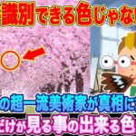 【動画】「人間が識別できる色じゃないだろ!」フランス美術家が真相に気付く…日本人だけが見える色に驚愕!