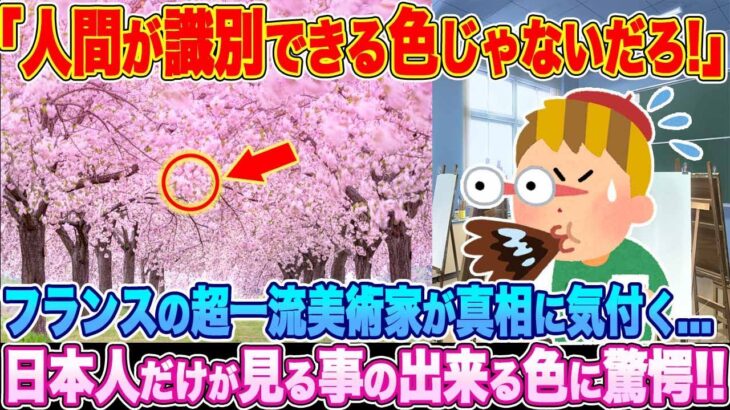 【動画】「人間が識別できる色じゃないだろ!」フランス美術家が真相に気付く…日本人だけが見える色に驚愕!