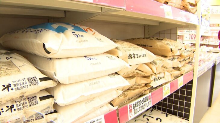 【必見】コメの流通が滞る理由とは？備蓄米の放出の真実を探る