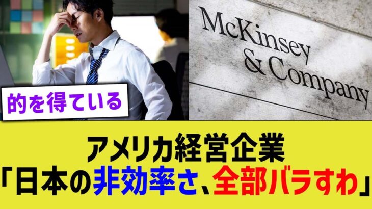 【マジかよ】アメリカコンサル企業「日本の非効率さ、全部バラすわ」