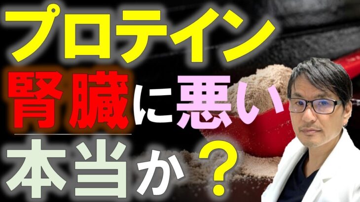 【必見】プロテインの摂り過ぎは肝臓や腎臓の負担に⁉