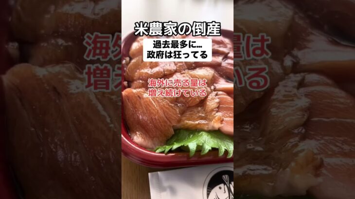 【悲報】コメ農家、もうあかんやんけ…倒産ラッシュやで！