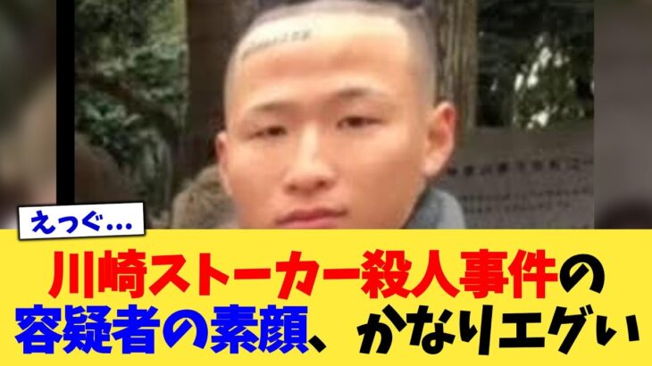 【動画】川崎ストーカー殺人事件の容疑者の素顔、かなりエグい