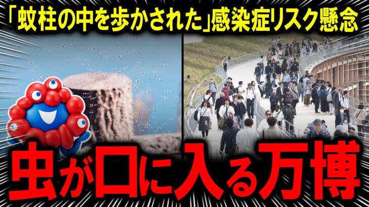 【必見】虫が襲来！大阪・関西万博の大屋根リングの現状とは？