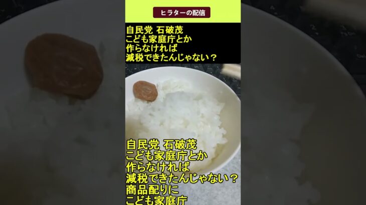 【衝撃】自民党 石破茂 こども家庭庁作らなければ減税できたんじゃない? 2025.05.10 ヒラターの配信 ショート