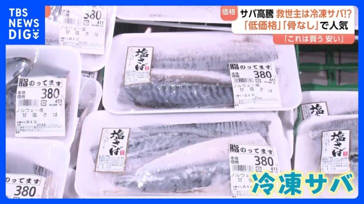 【必見】高級魚みたいなサバが高騰中！その理由とは？
