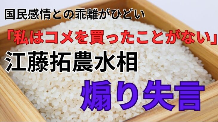 【必見】江藤農相が語る！コメの購入経験ゼロの真相とは？