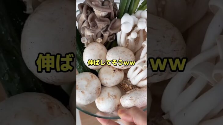【仰天】彡(゜)(゜)香川県民か?うどんでもこねてろ