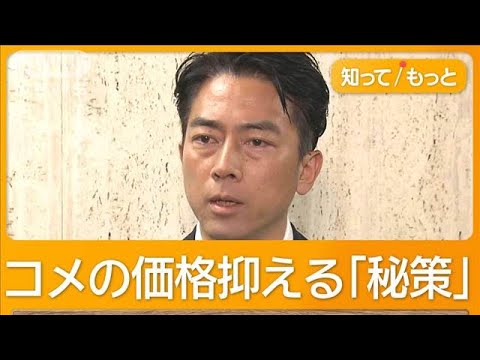 【必見】小泉農相が発表した備蓄米の輸送費負担、私たちに何ができる？